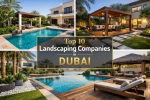 Top 10 landscaping companies in dubai